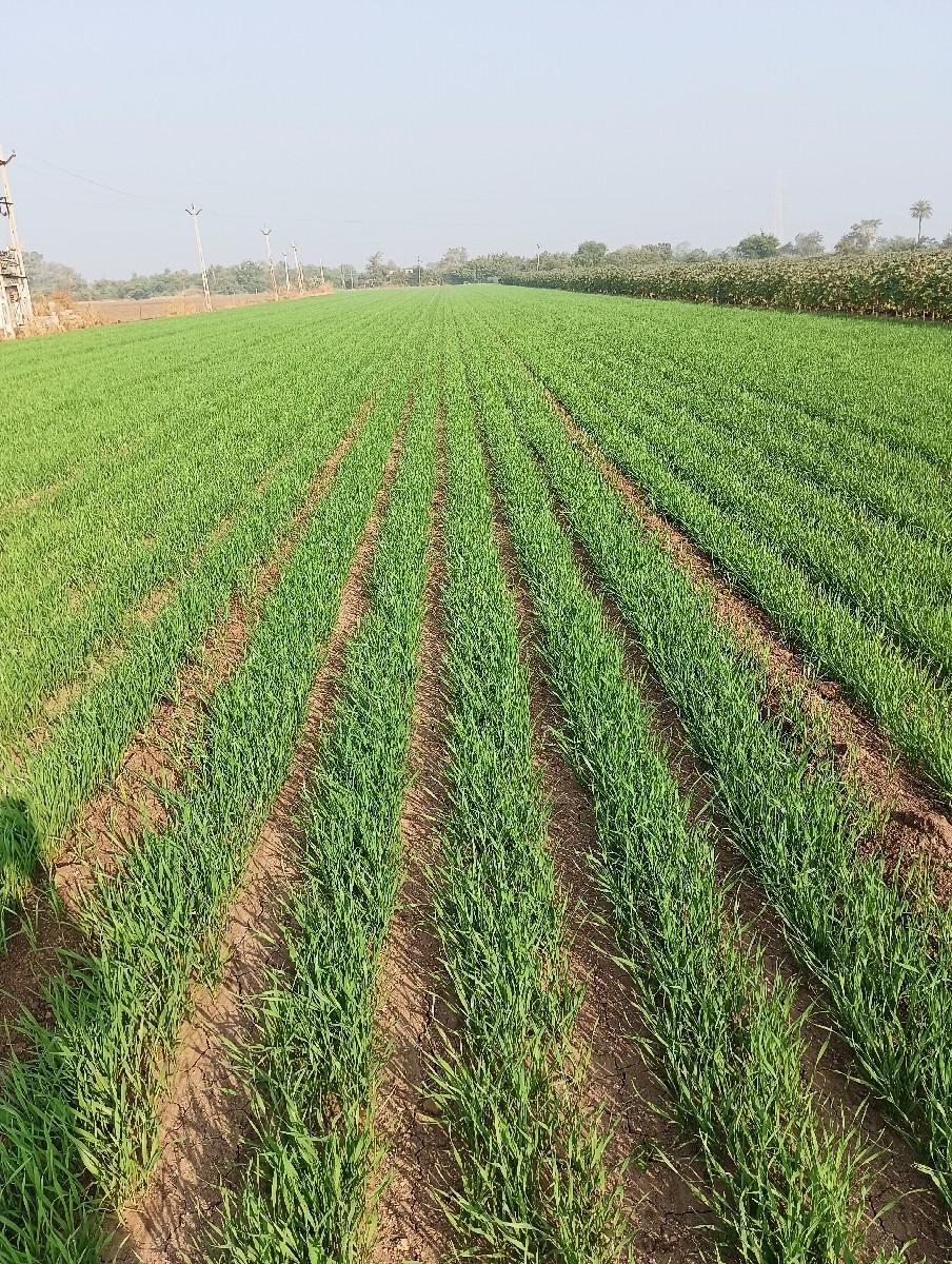 જમીન વેચવાની છે