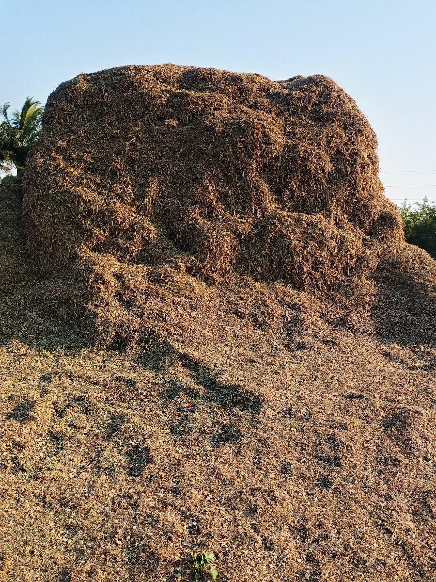 ભૂકો વેચવાનો છે