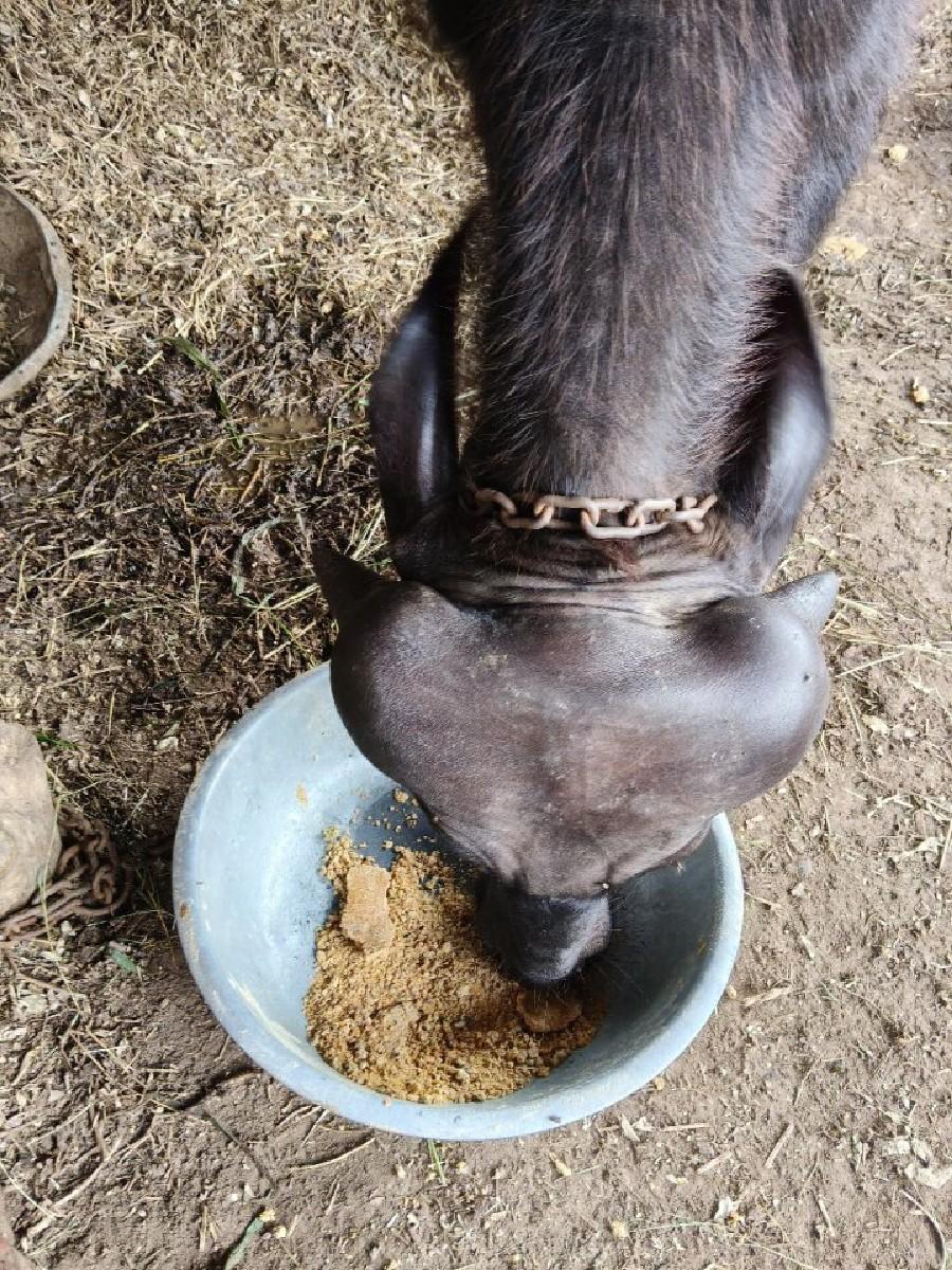 થંબનેલ 3