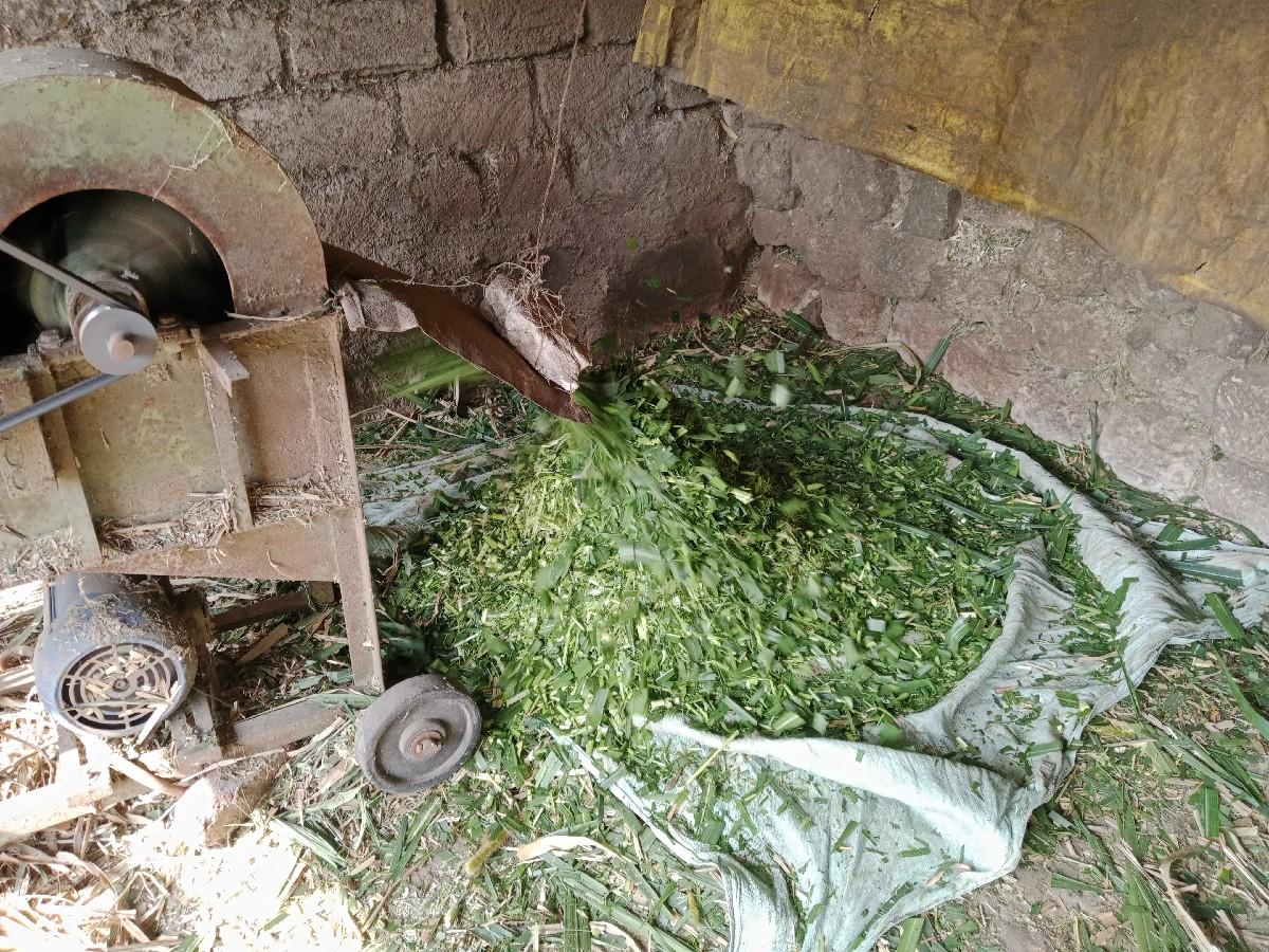 થંબનેલ 3