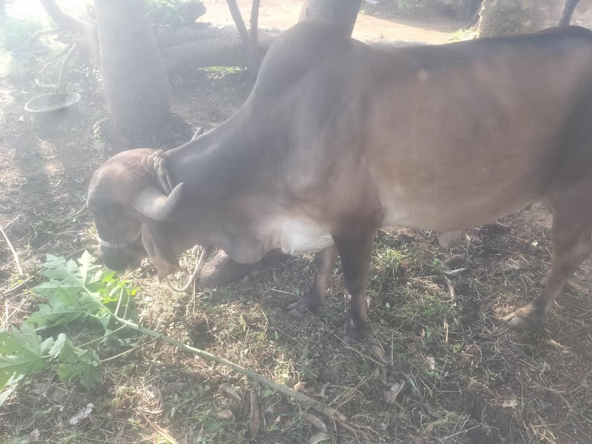 થંબનેલ 3