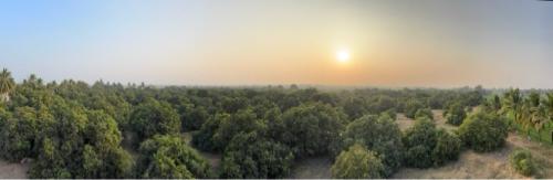 थंबनेल 3