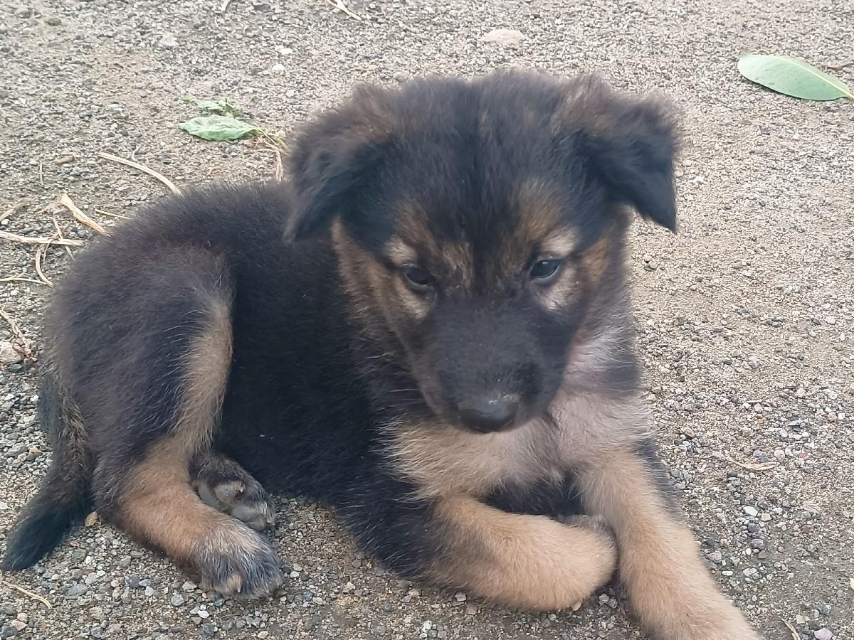 થંબનેલ 3