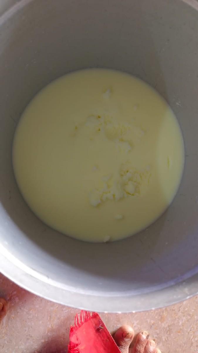 ભેસ નું શુધ્ધ ઘી