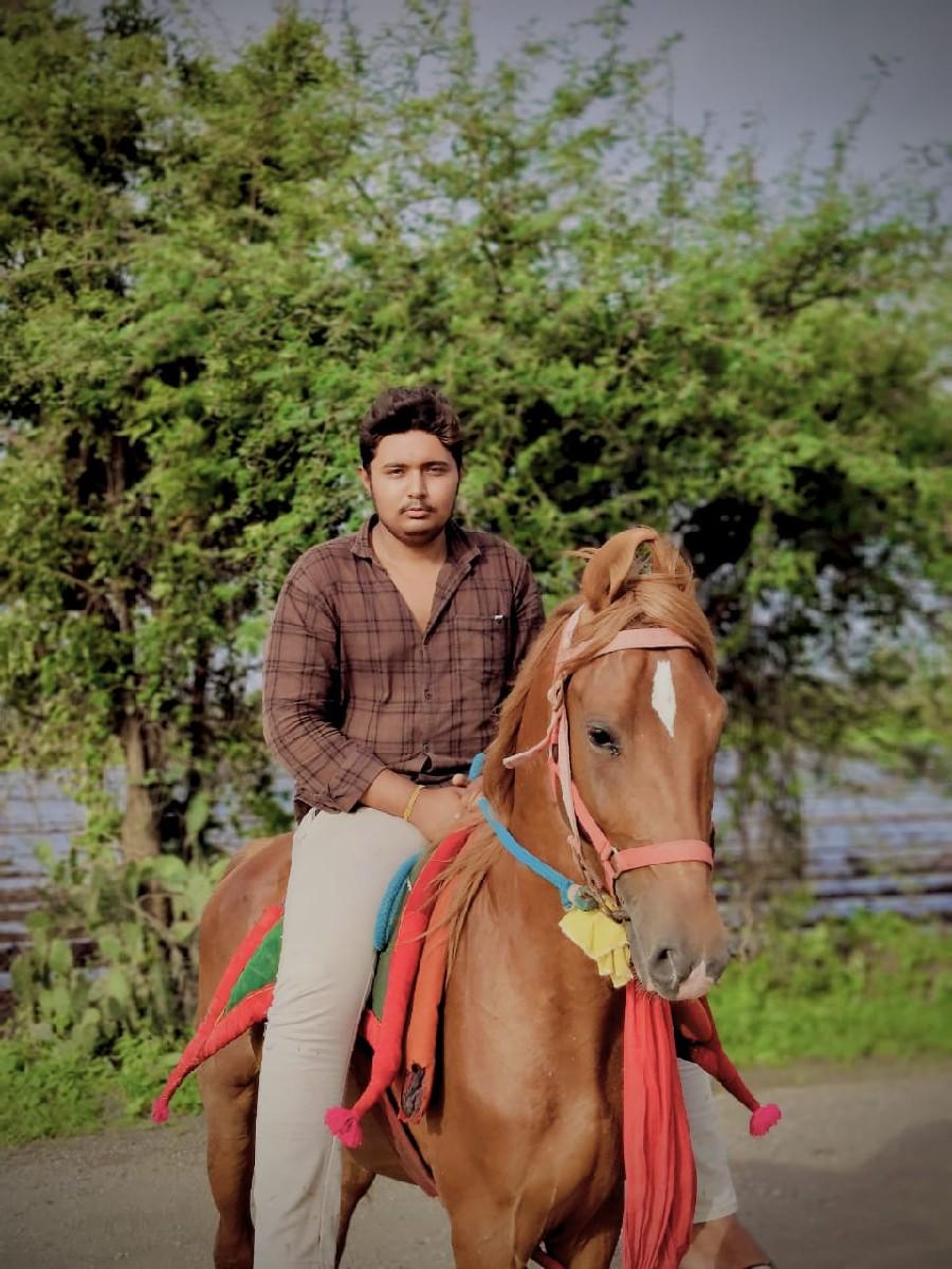 ઘોડો છે ચાર વર્ષનો