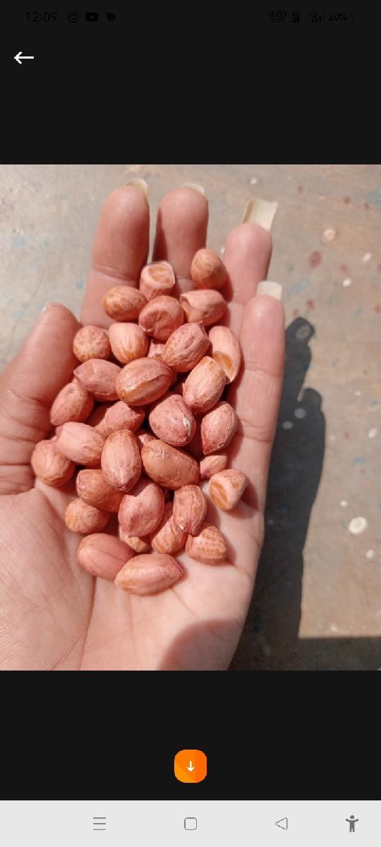 થંબનેલ 2