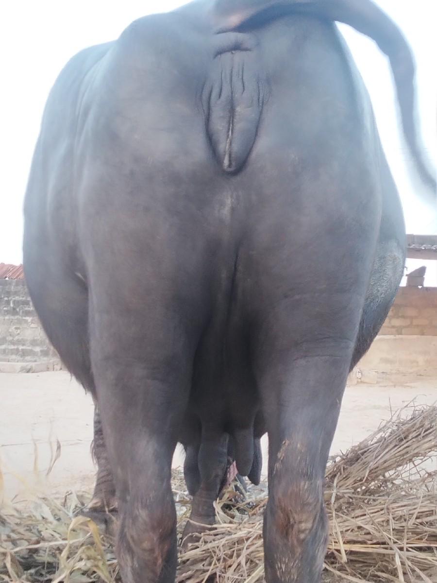 થંબનેલ 2