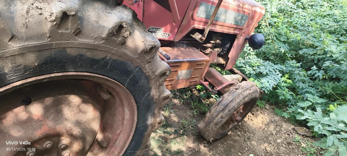 થંબનેલ 2