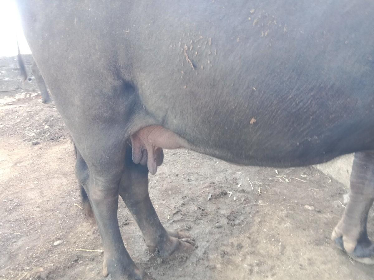 થંબનેલ 3