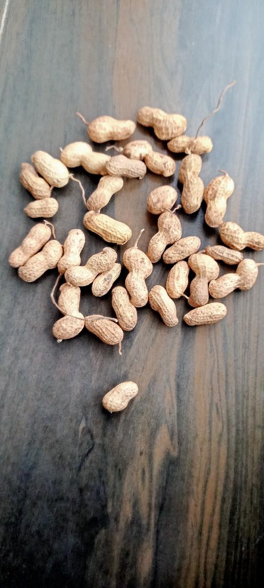 થંબનેલ 3