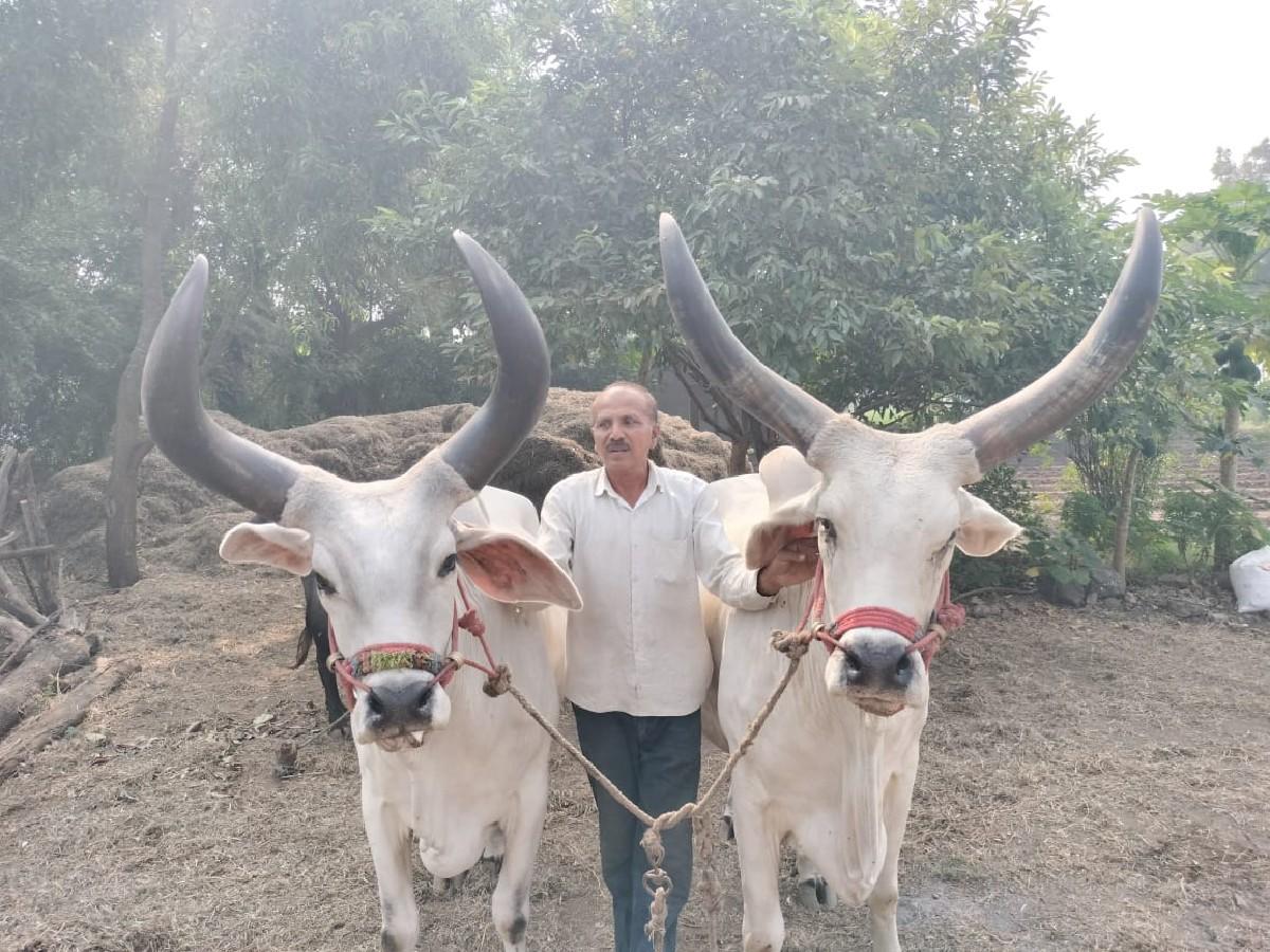 વઢિયારા