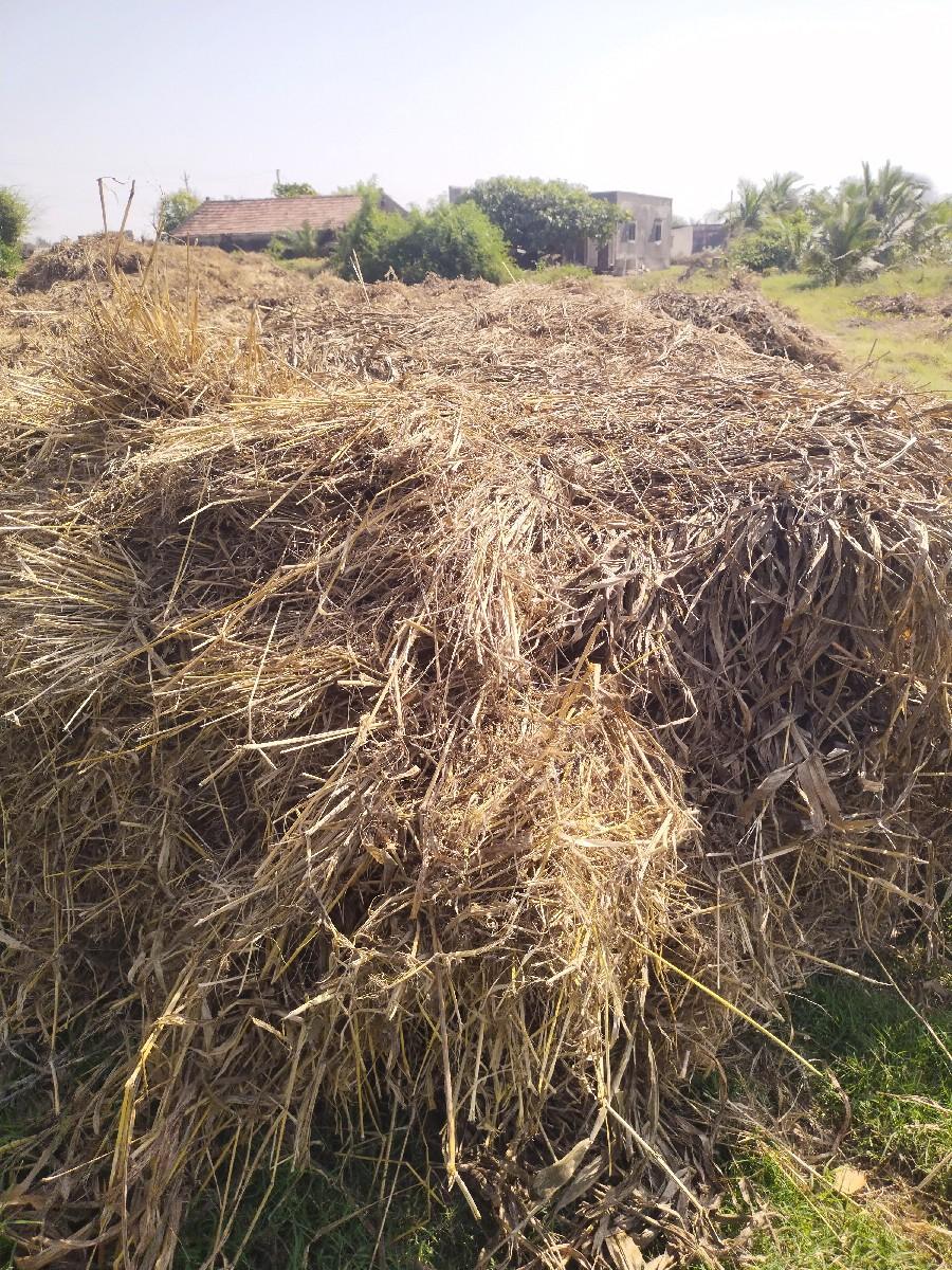 માલ ઢોર માટેનો સારો