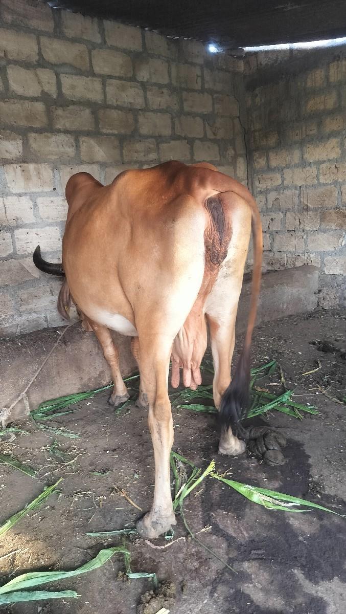 થંબનેલ 3