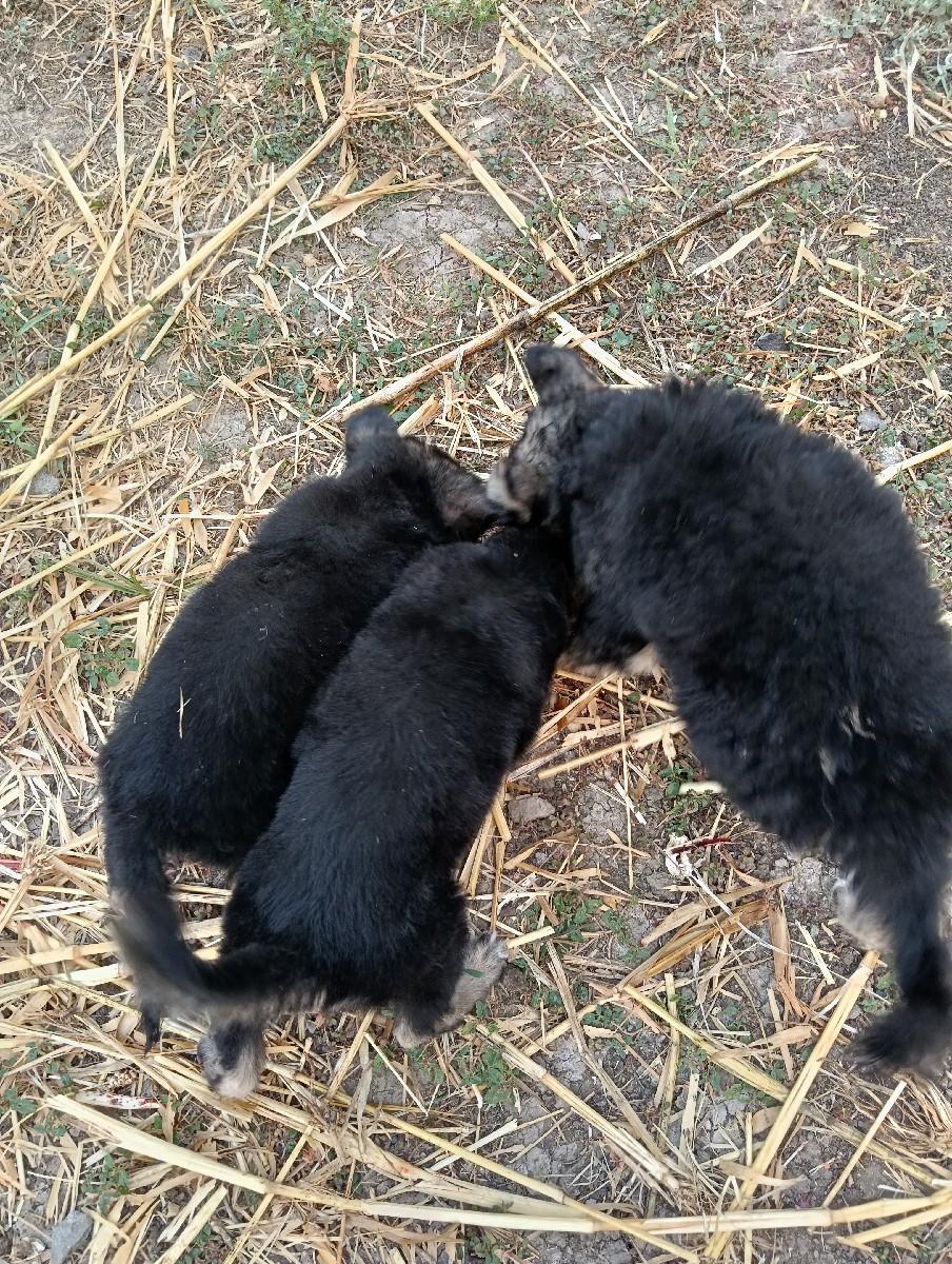 થંબનેલ 2