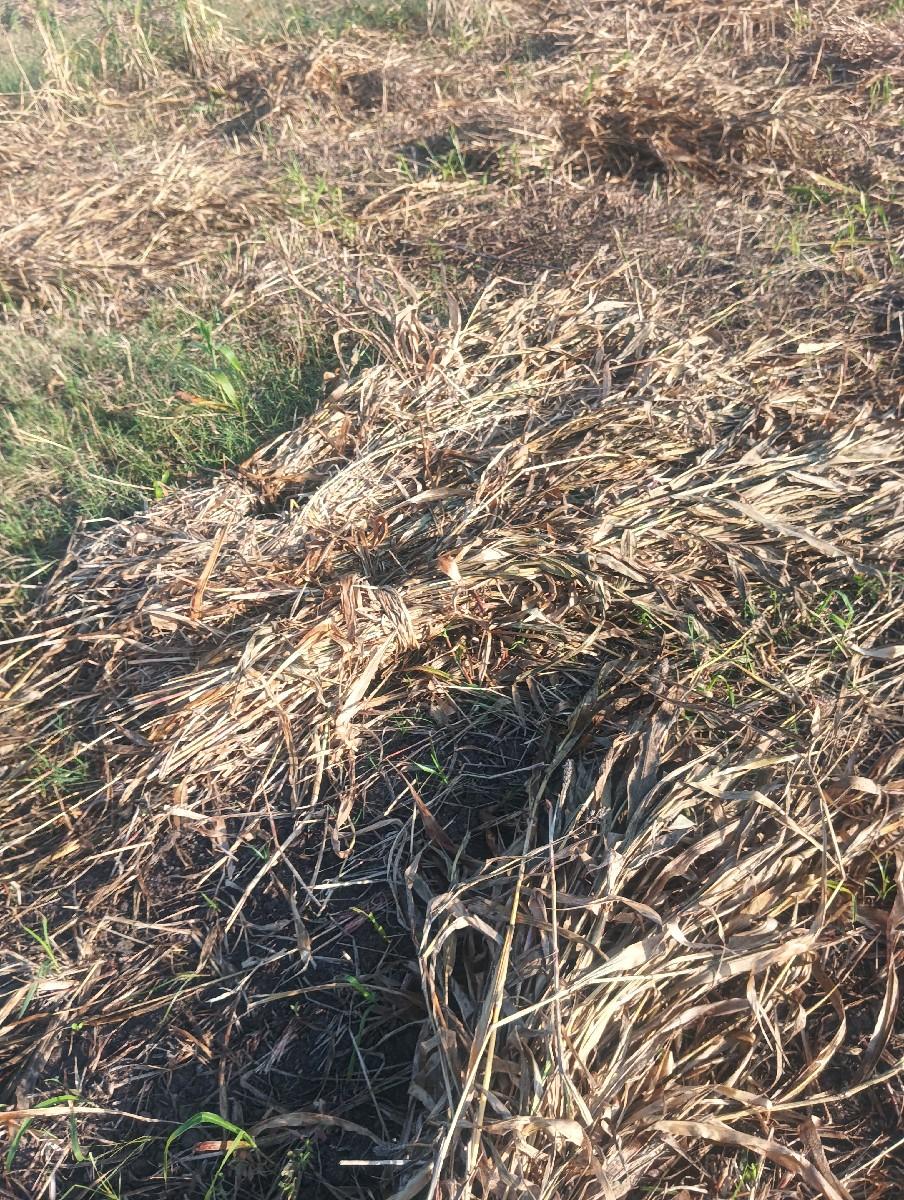 સાર વેચવાની છે