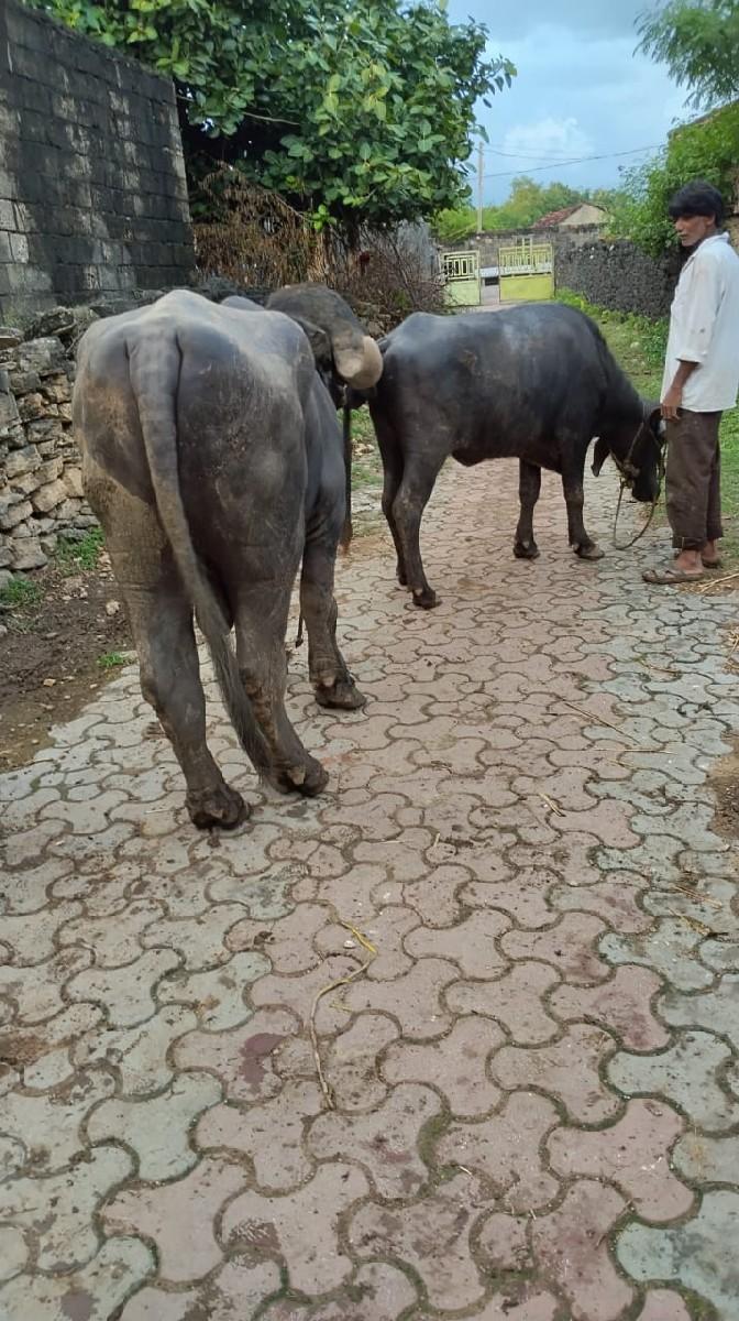 ૮૭૫૮૧૩૮૨૫૬