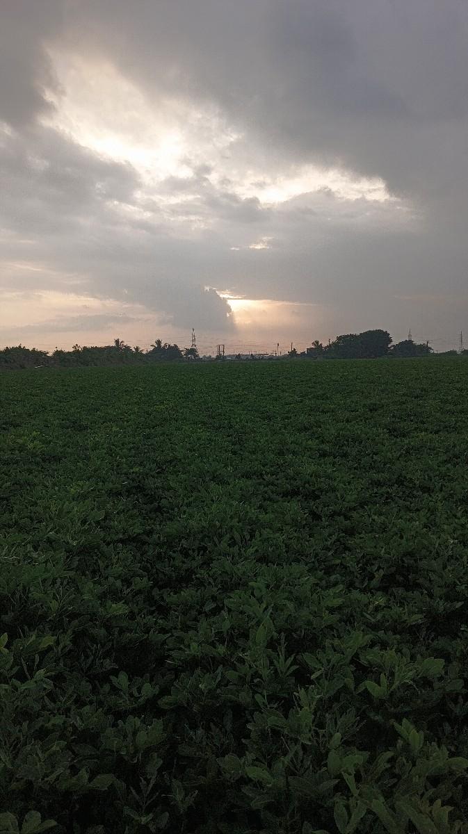 જમીન વેચવાની છે ભાઈ