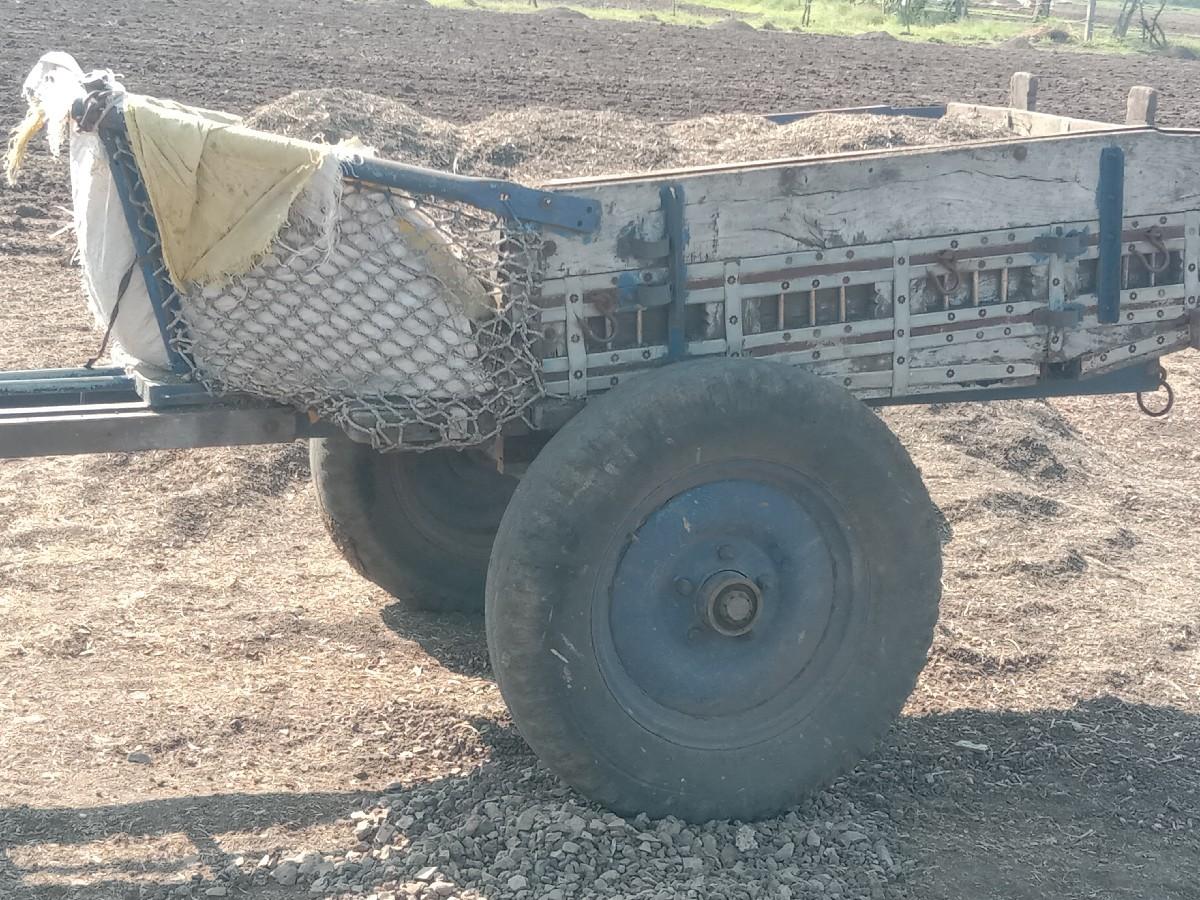 થંબનેલ 2