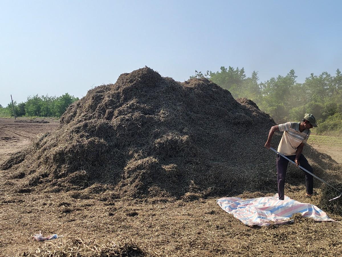 ભૂકો વેચવાનો છે