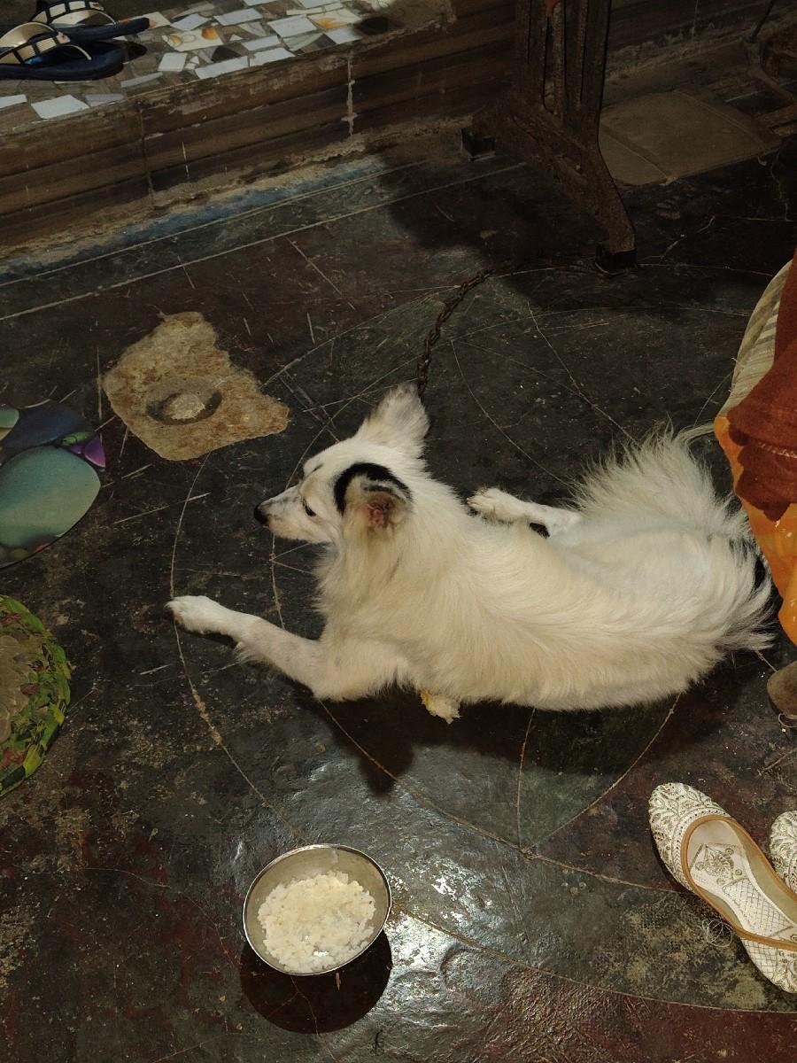 થંબનેલ 2