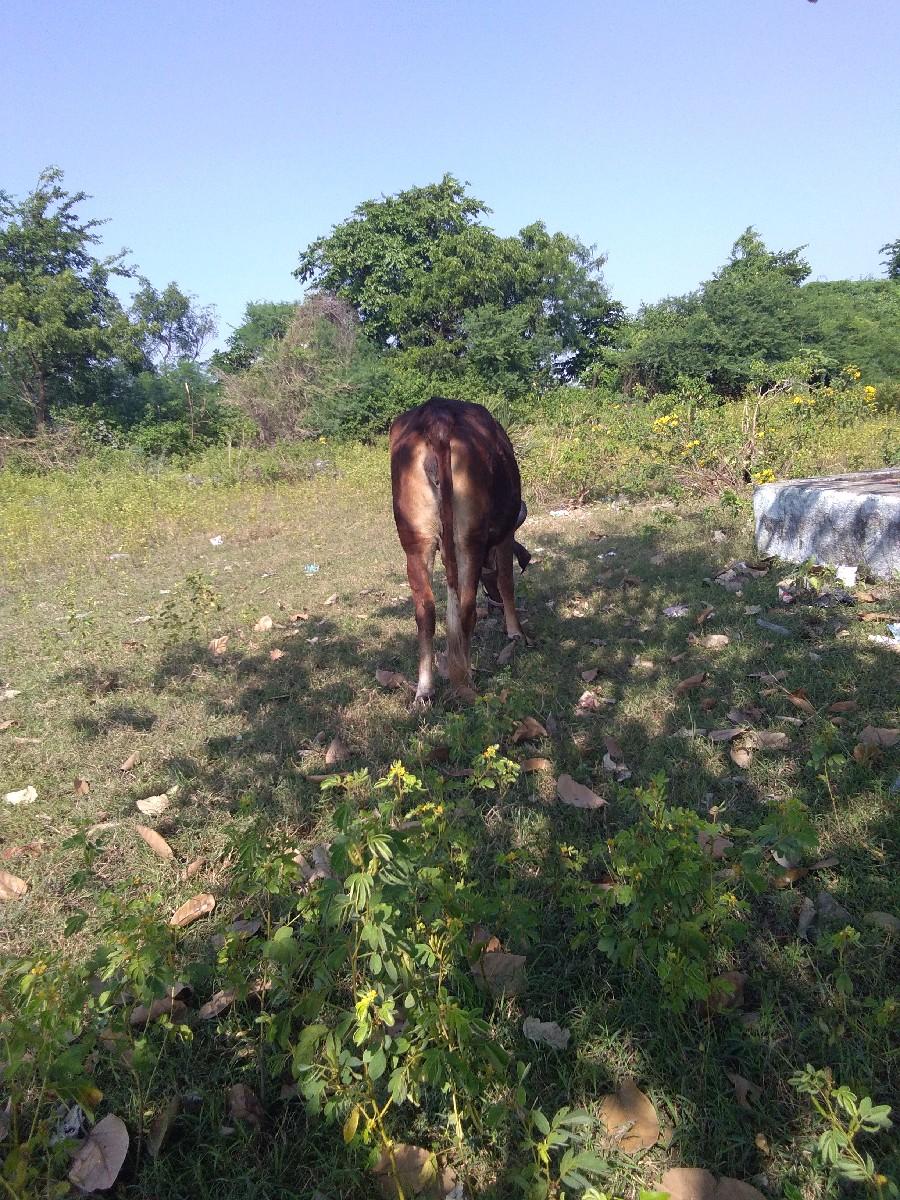 થંબનેલ 2