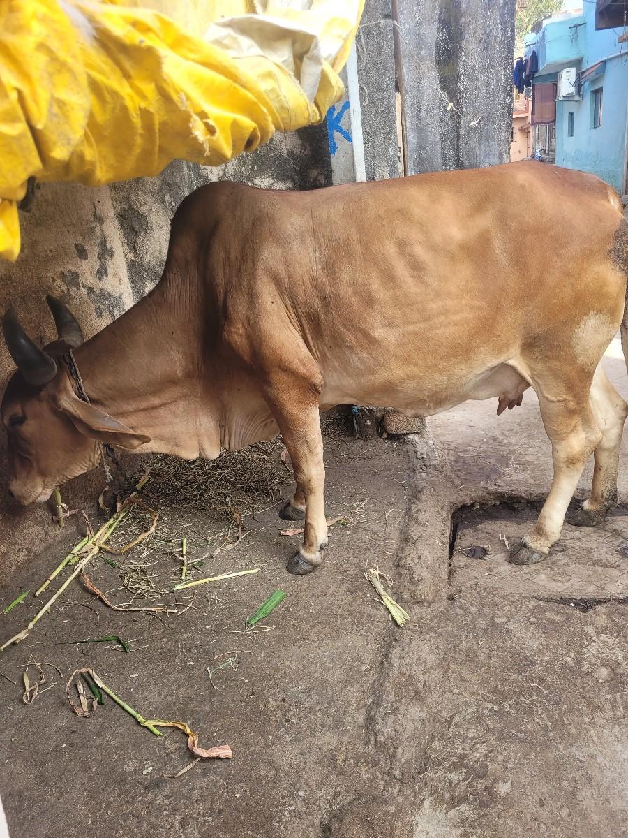 થંબનેલ 2