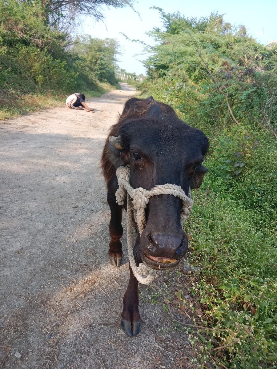 થંબનેલ 2