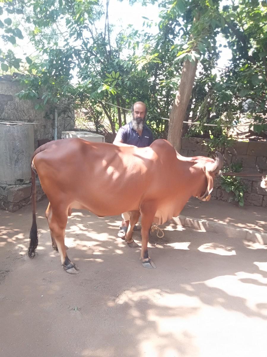 થંબનેલ 3