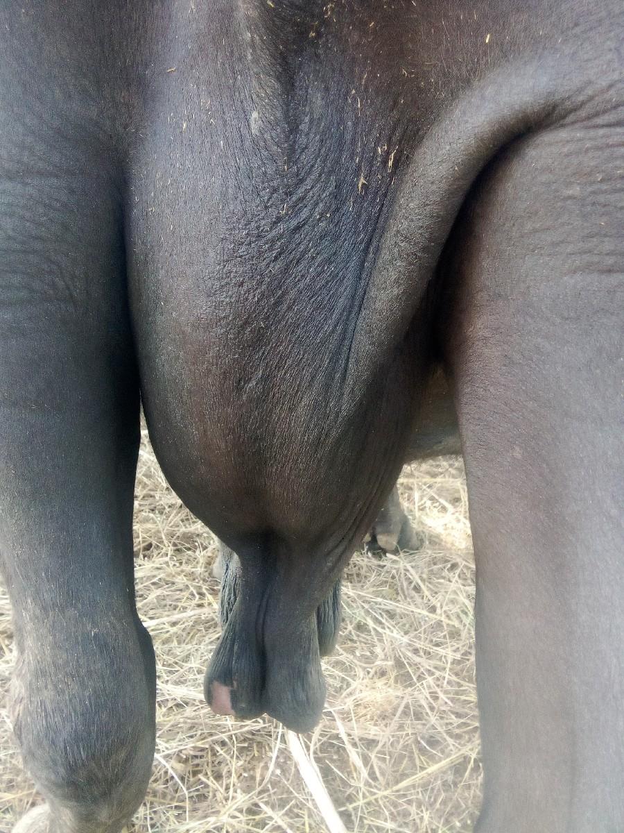 થંબનેલ 3