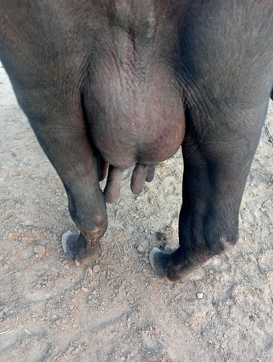 થંબનેલ 3