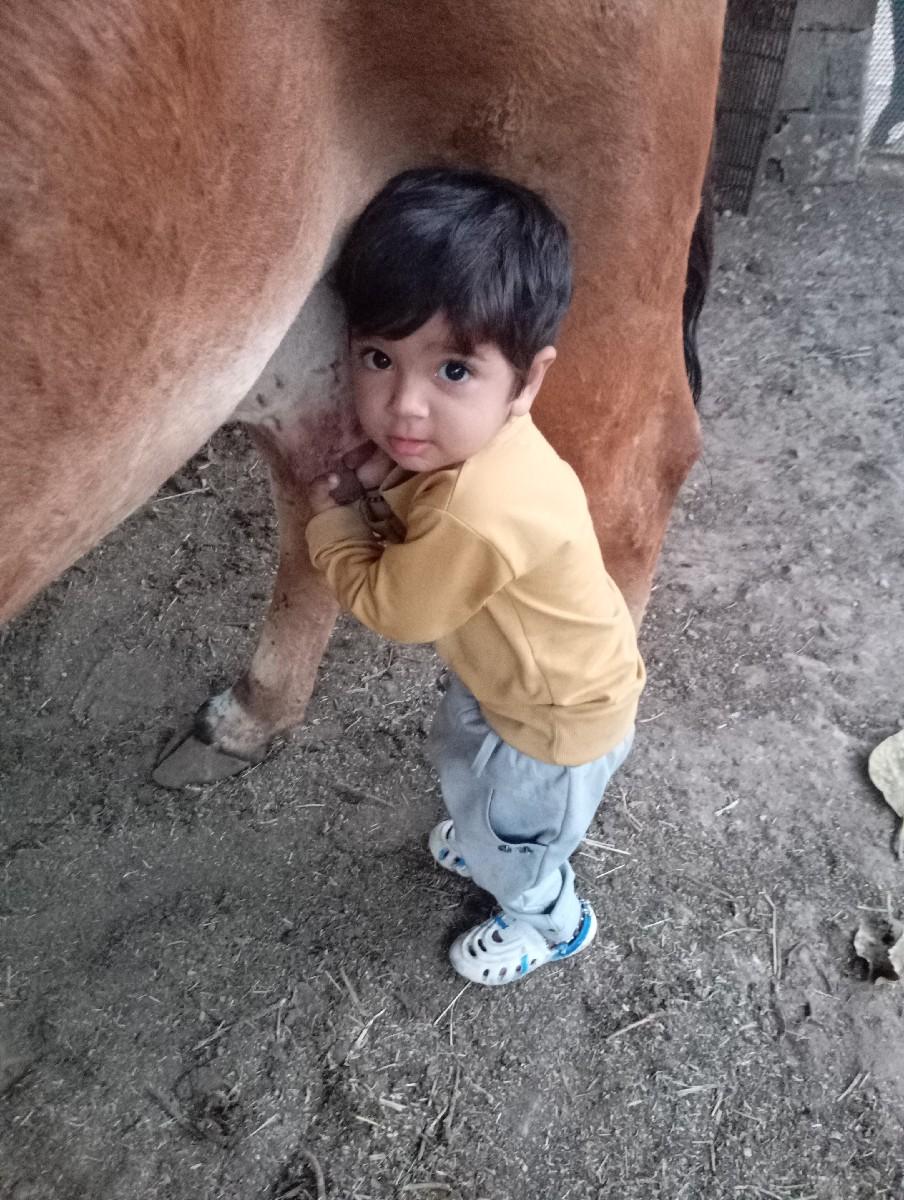 થંબનેલ 3