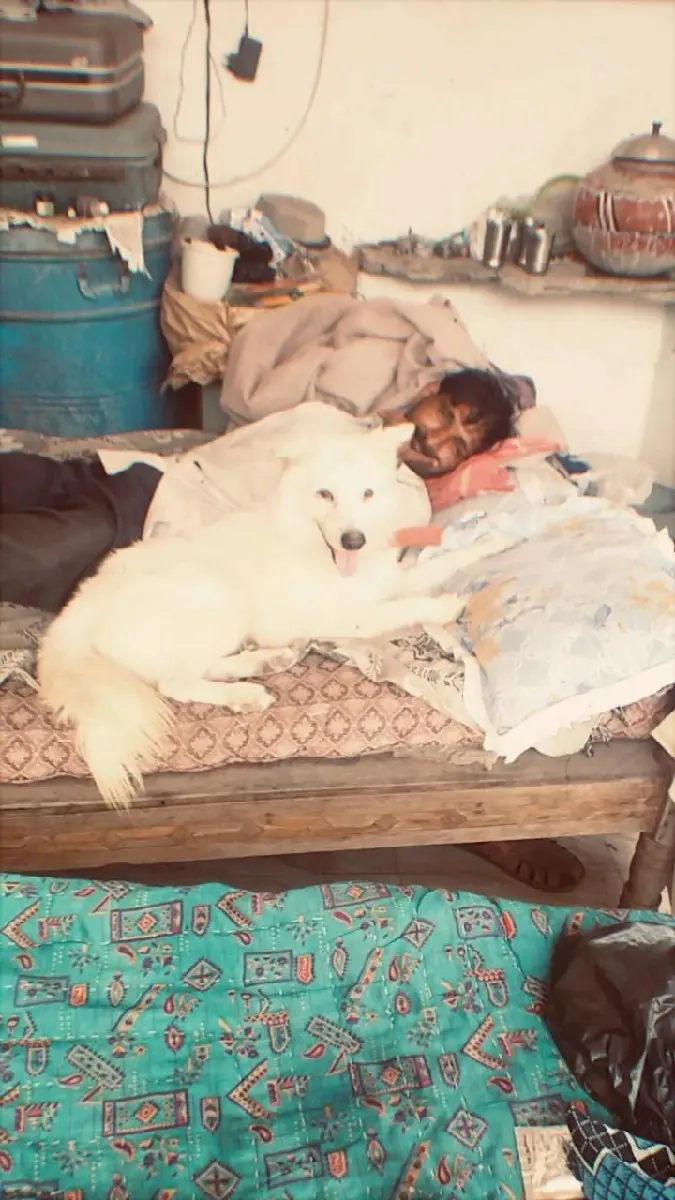 થંબનેલ 3