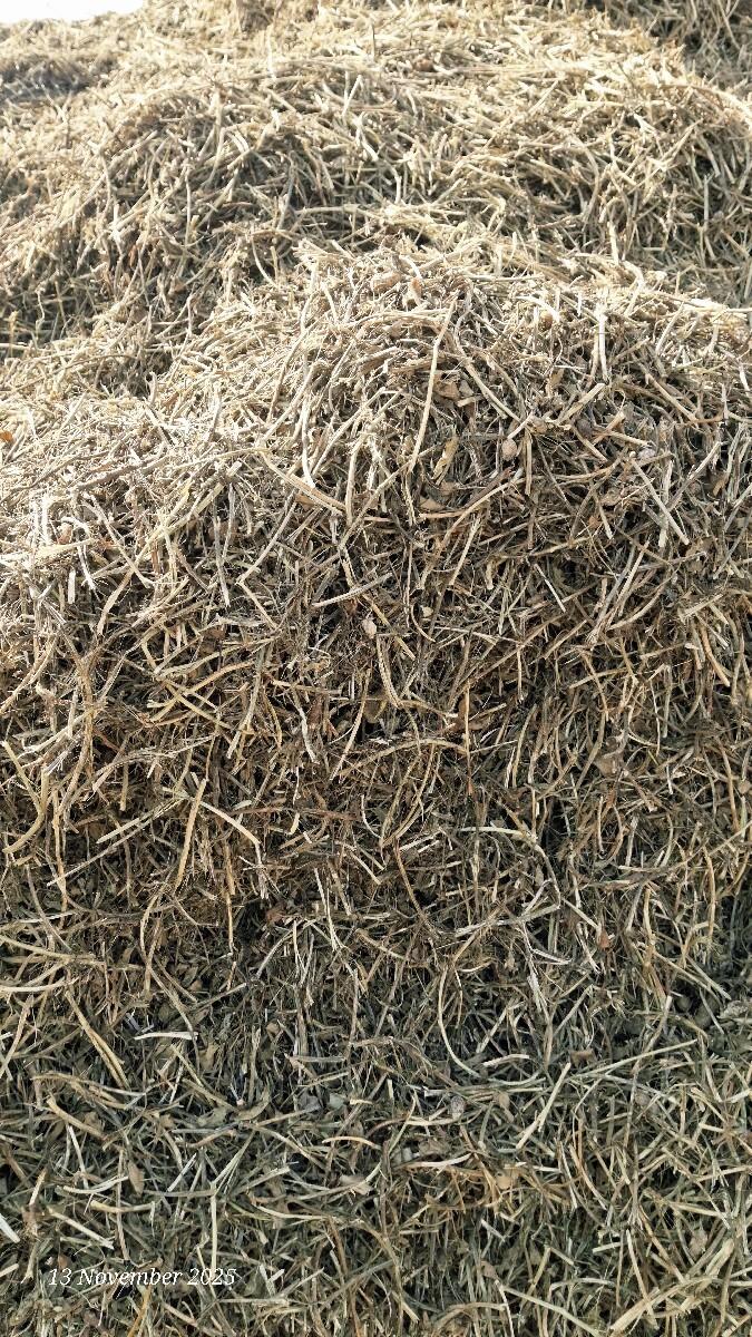 માંડવી નો ભુકો વેચવાનો છે