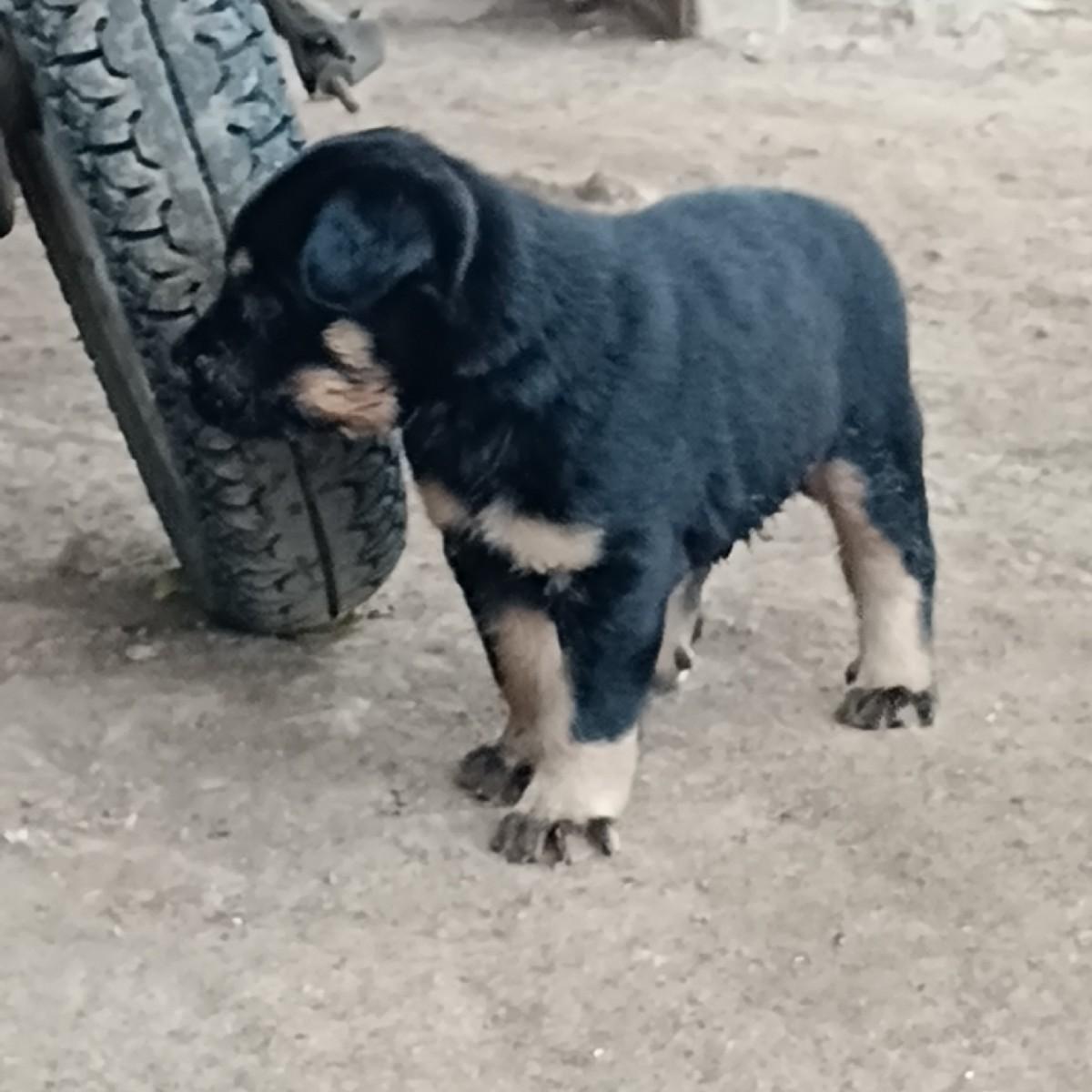 થંબનેલ 2