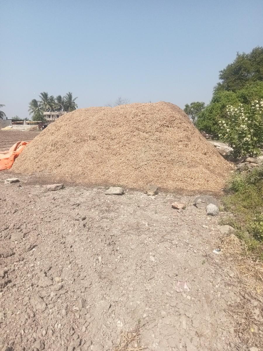 bhuko veshvano se madvino