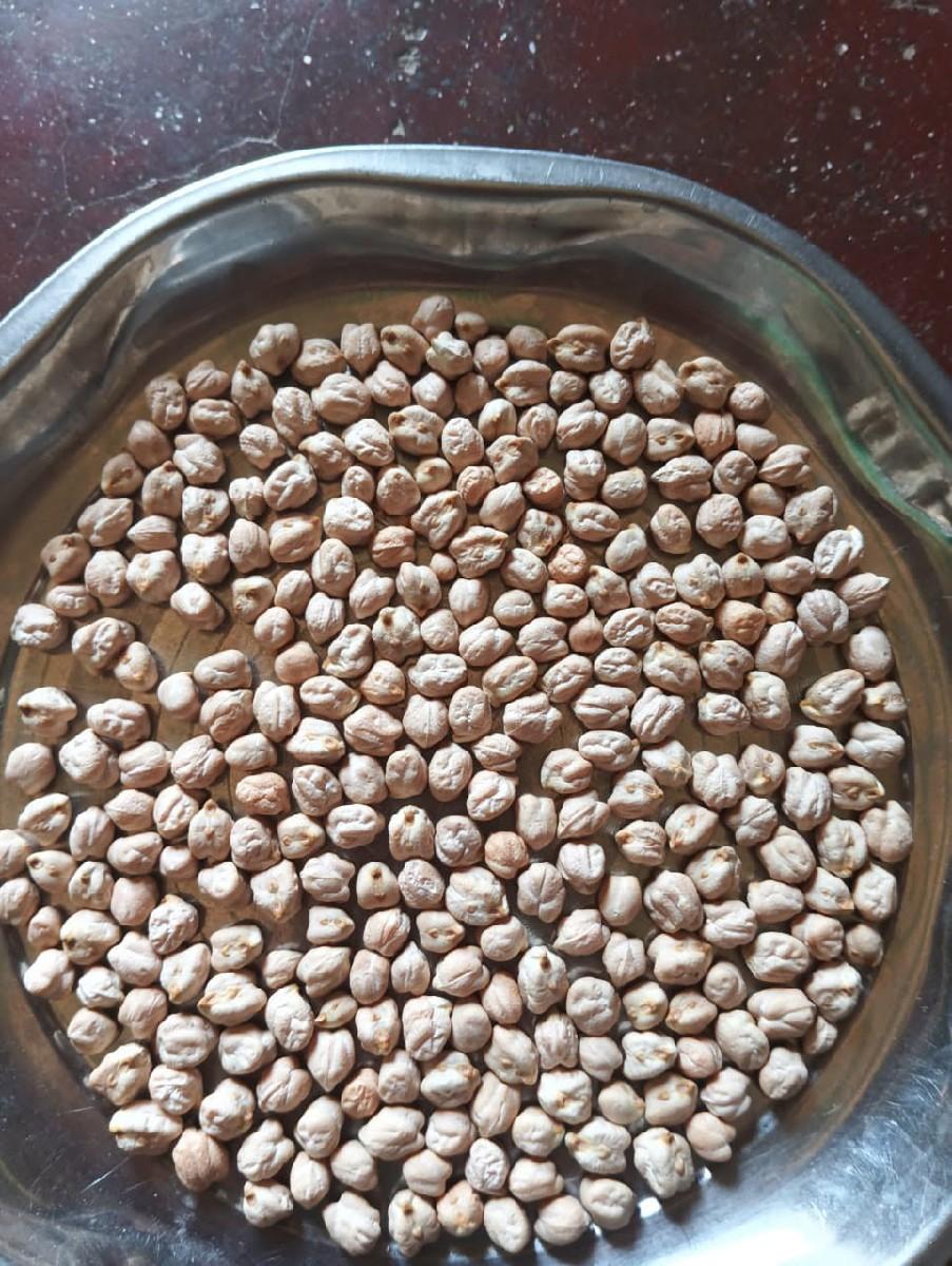 ચણા નું બીયારણ 1 નં સફેદ