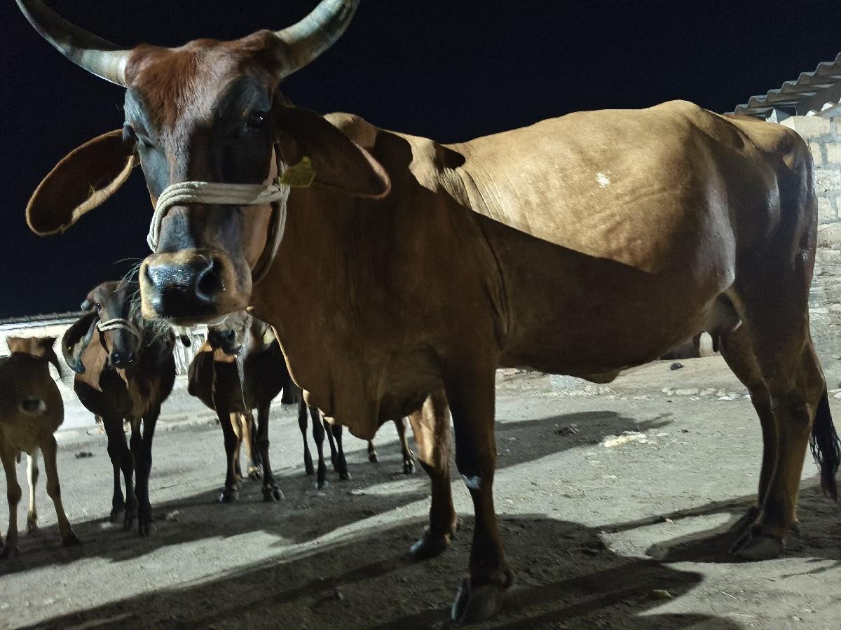 થંબનેલ 3