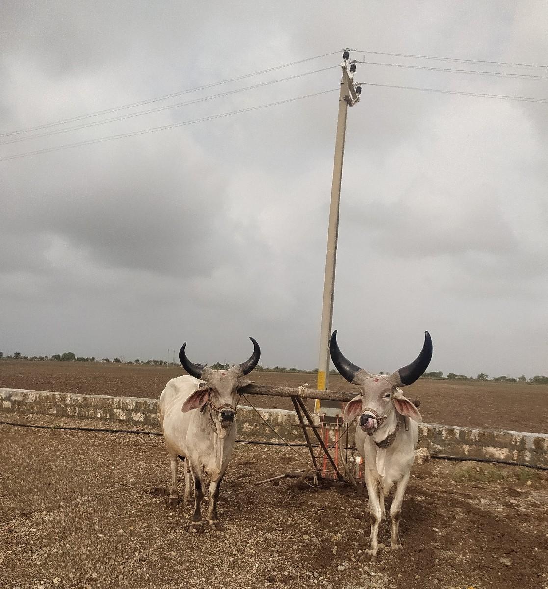 થંબનેલ 3