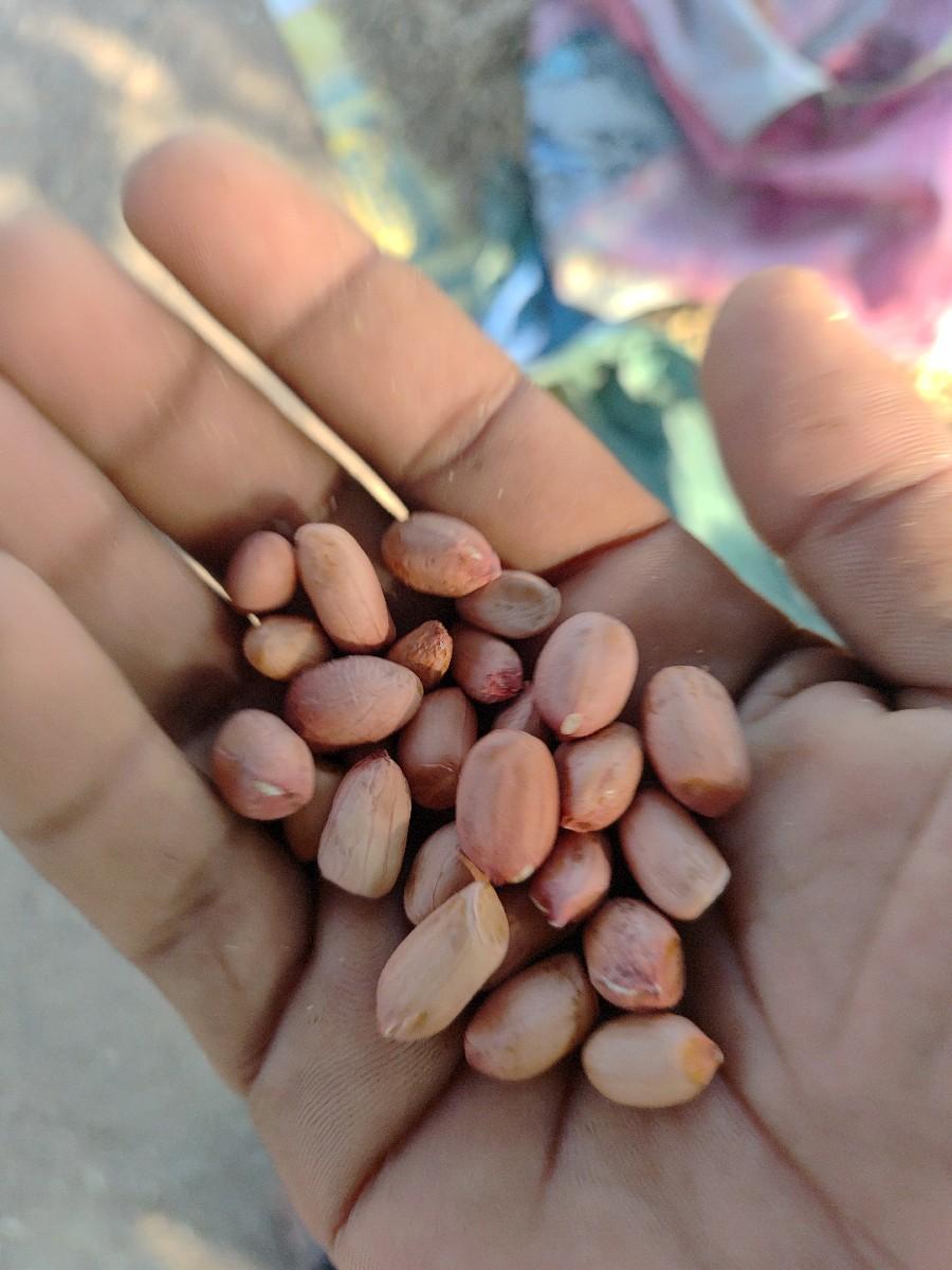 થંબનેલ 2