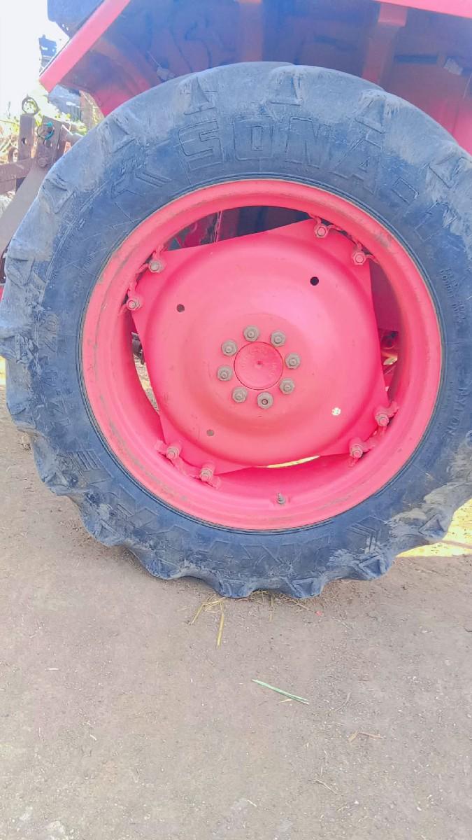 થંબનેલ 2