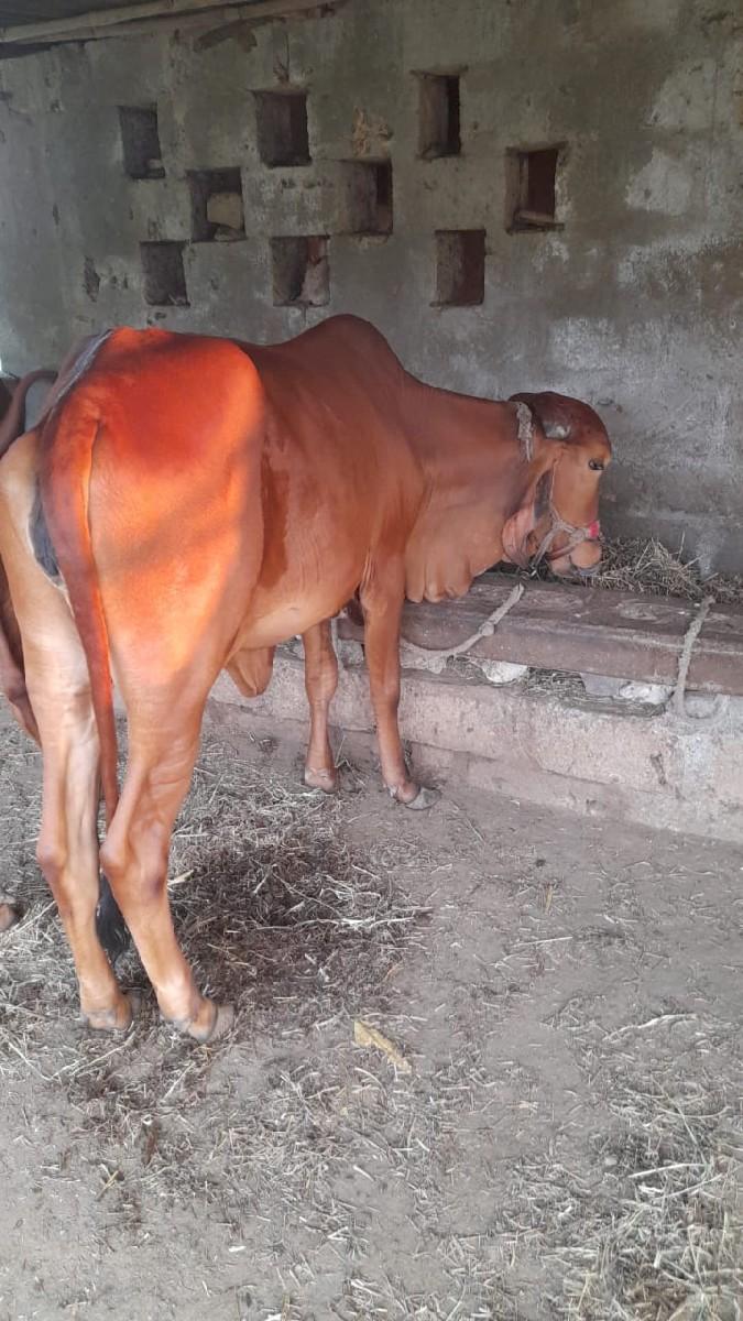 थंबनेल 2