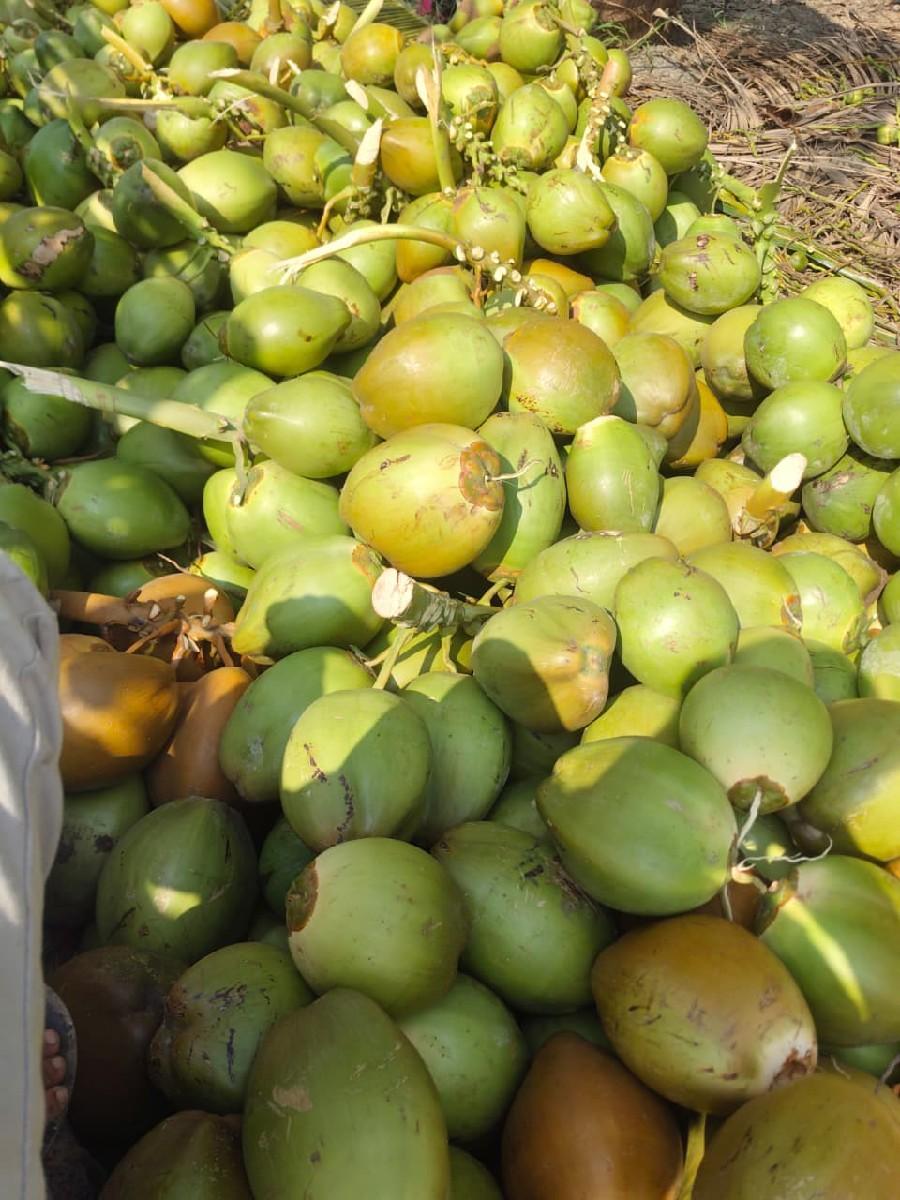 थंबनेल 3