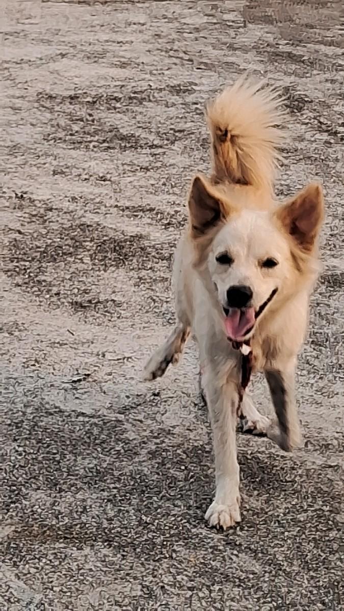 થંબનેલ 3