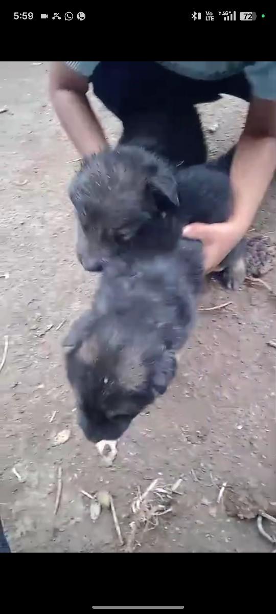 થંબનેલ 3