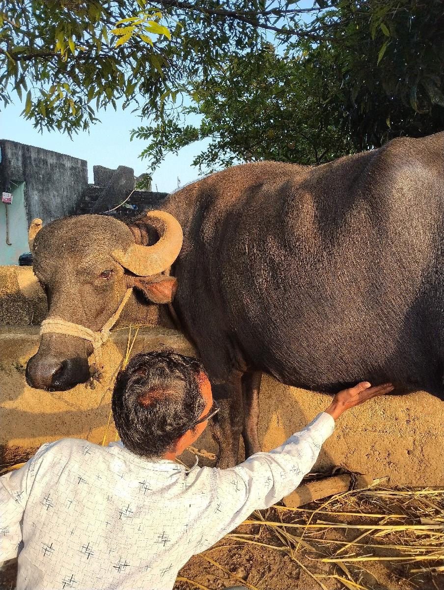 થંબનેલ 2