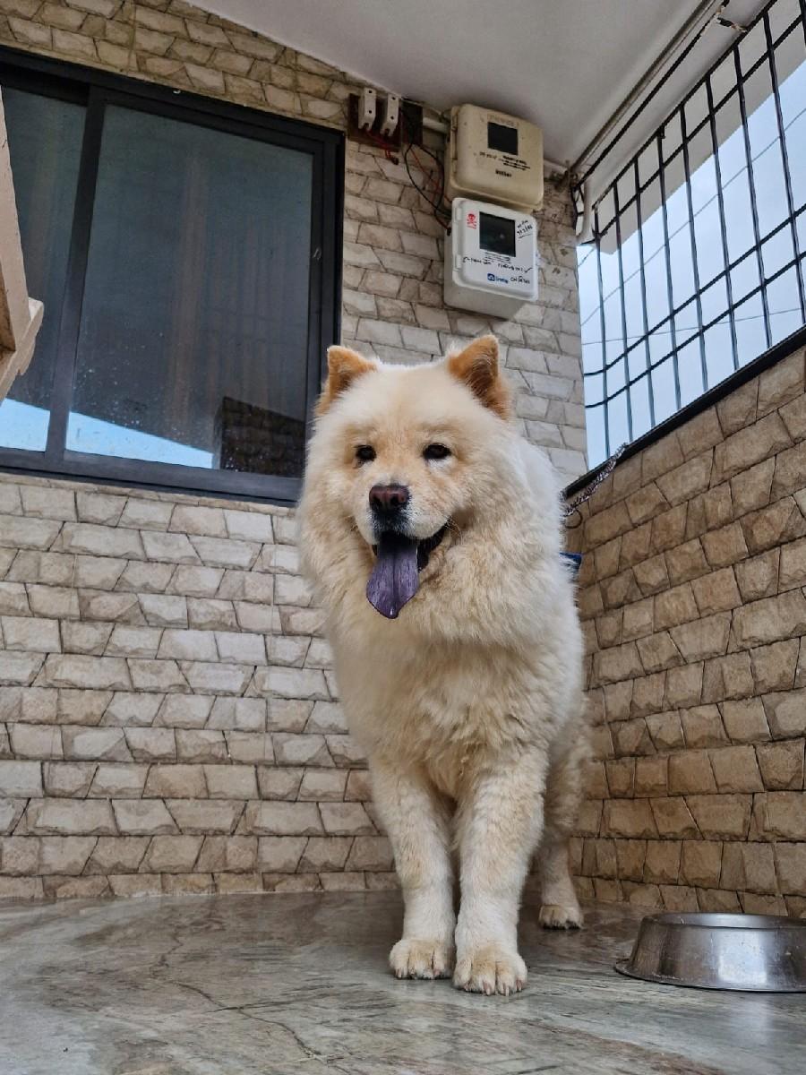 થંબનેલ 3