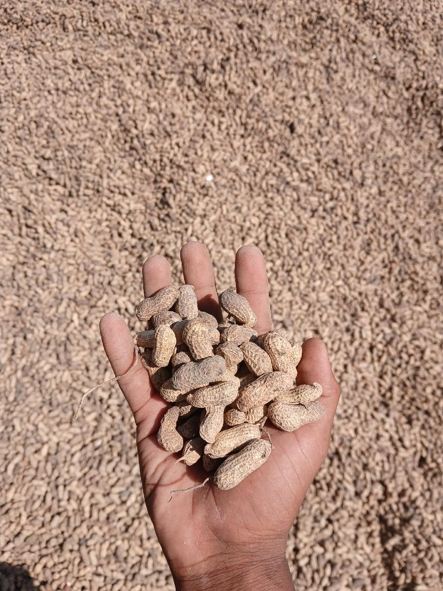 કોરી માનવી વેચવાની