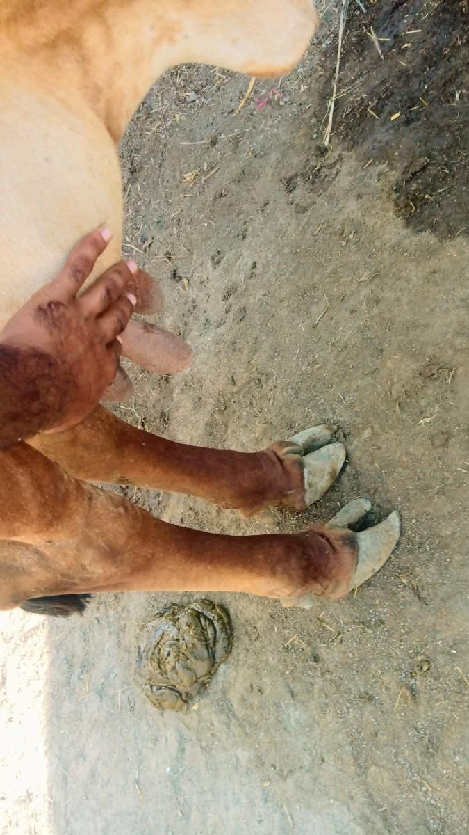 થંબનેલ 2