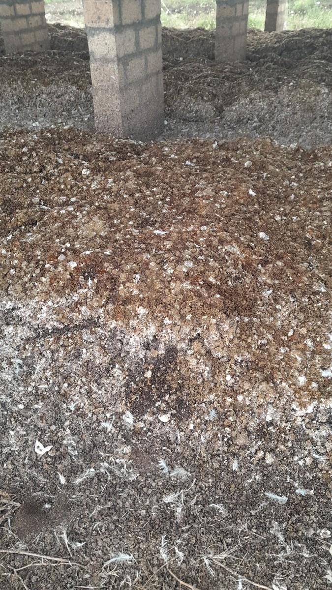 કુકડા ની ચરક ને ડેસિ ખાતર વેચાવ છે