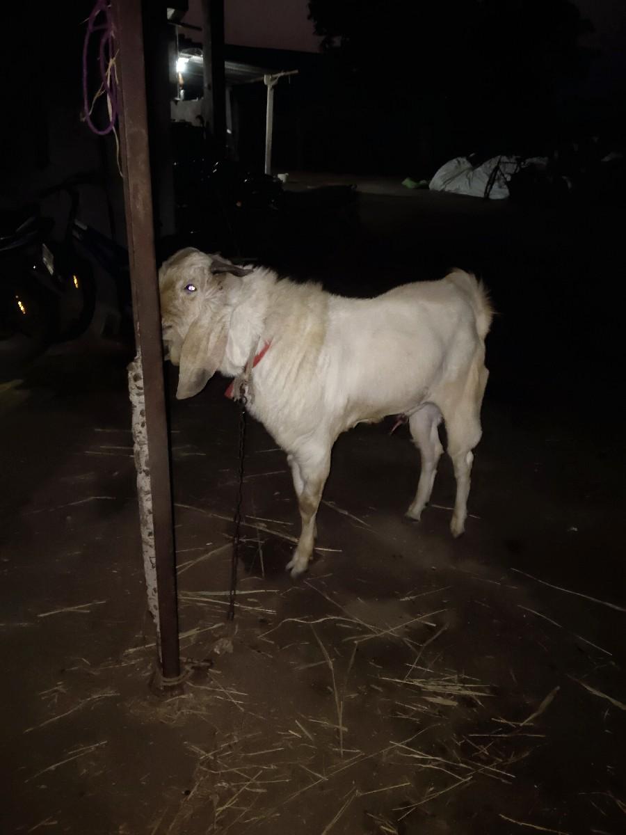 થંબનેલ 2